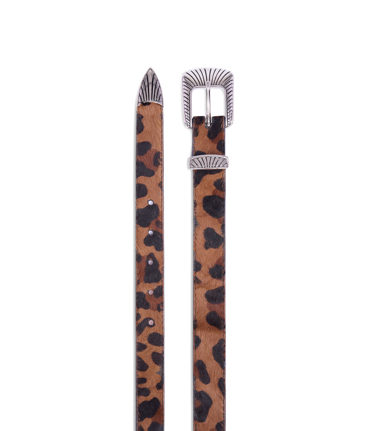 Skinny Western cheetah