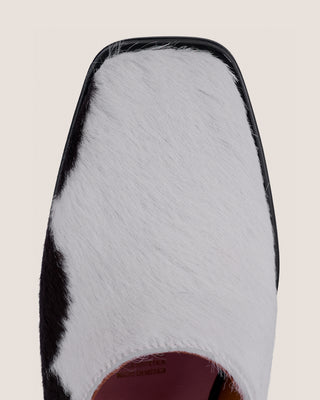 Coyote Mules Vaquita