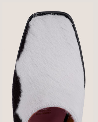 Coyote Mules Vaquita