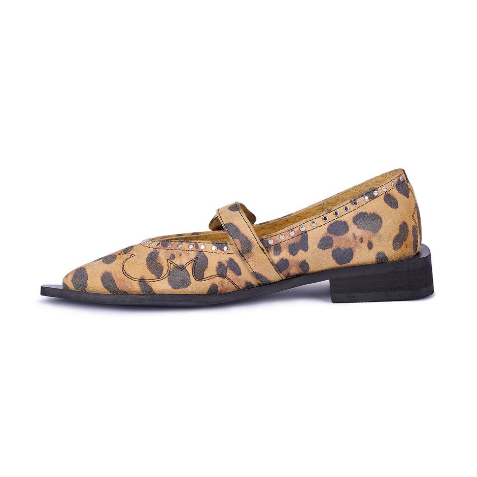 Jornada Flats cheetah