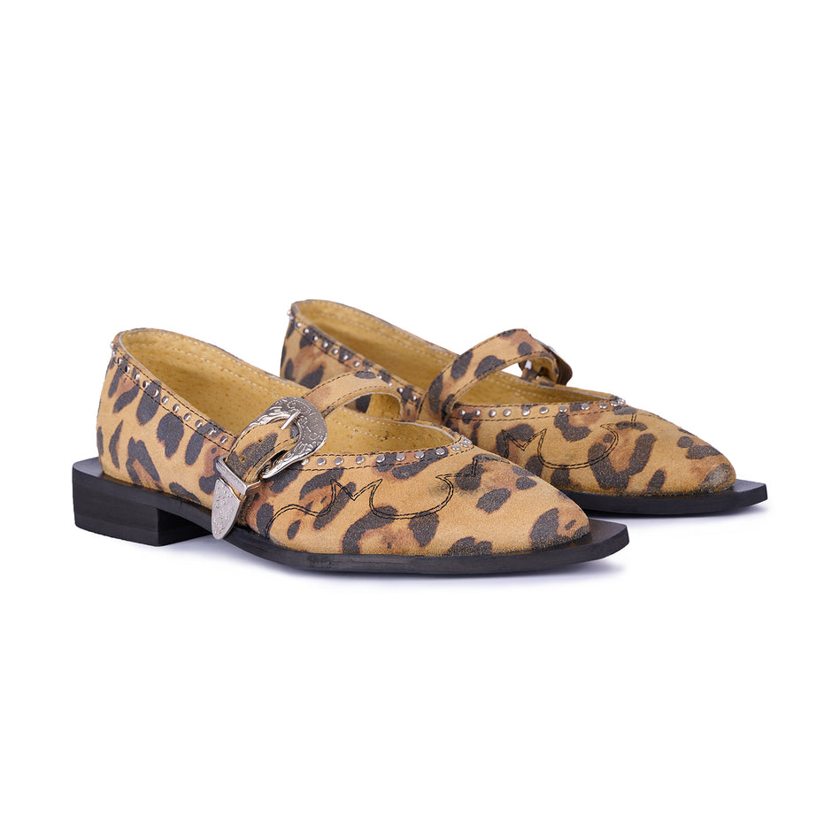 Jornada Flats cheetah