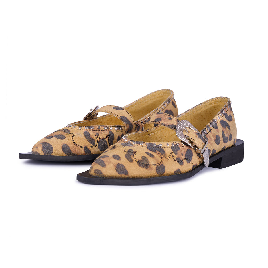 Jornada Flats cheetah