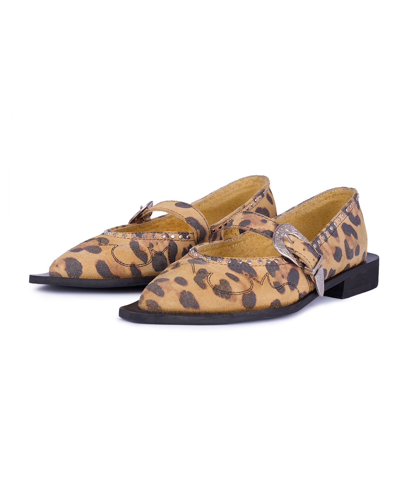 Jornada Flats cheetah