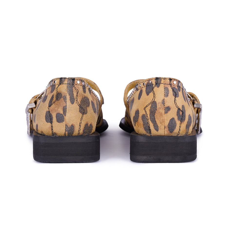 Jornada Flats cheetah