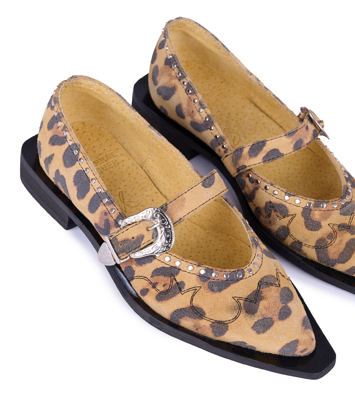 Jornada Flats cheetah