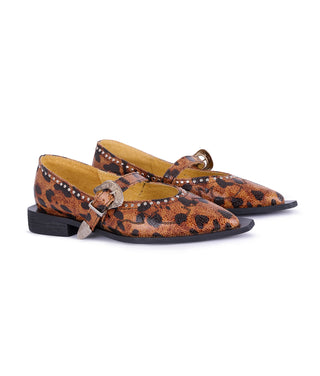 Jornada Flats Cheetah