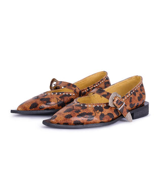 Jornada Flats Cheetah