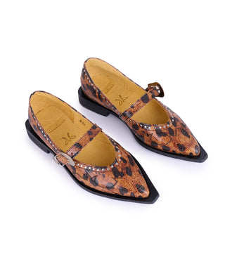 Jornada Flats Cheetah