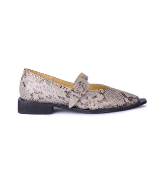 Jornada Flats Snake