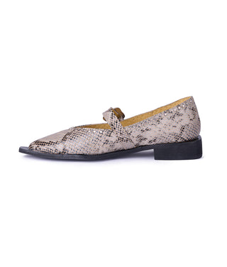 Jornada Flats Snake