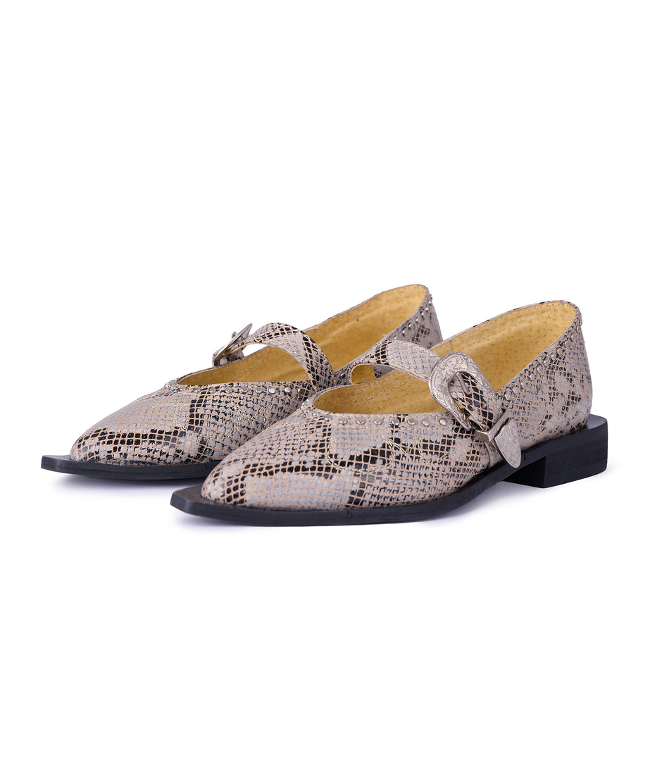 Jornada Flats Snake