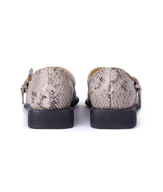 Jornada Flats Snake