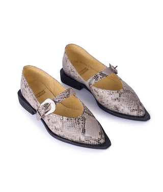 Jornada Flats Snake