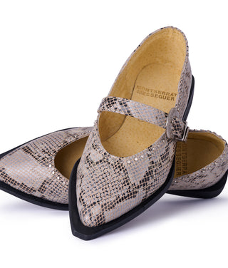 Jornada Flats Snake