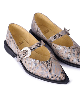 Jornada Flats Snake