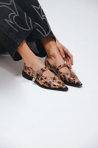 Jornada Flats cheetah