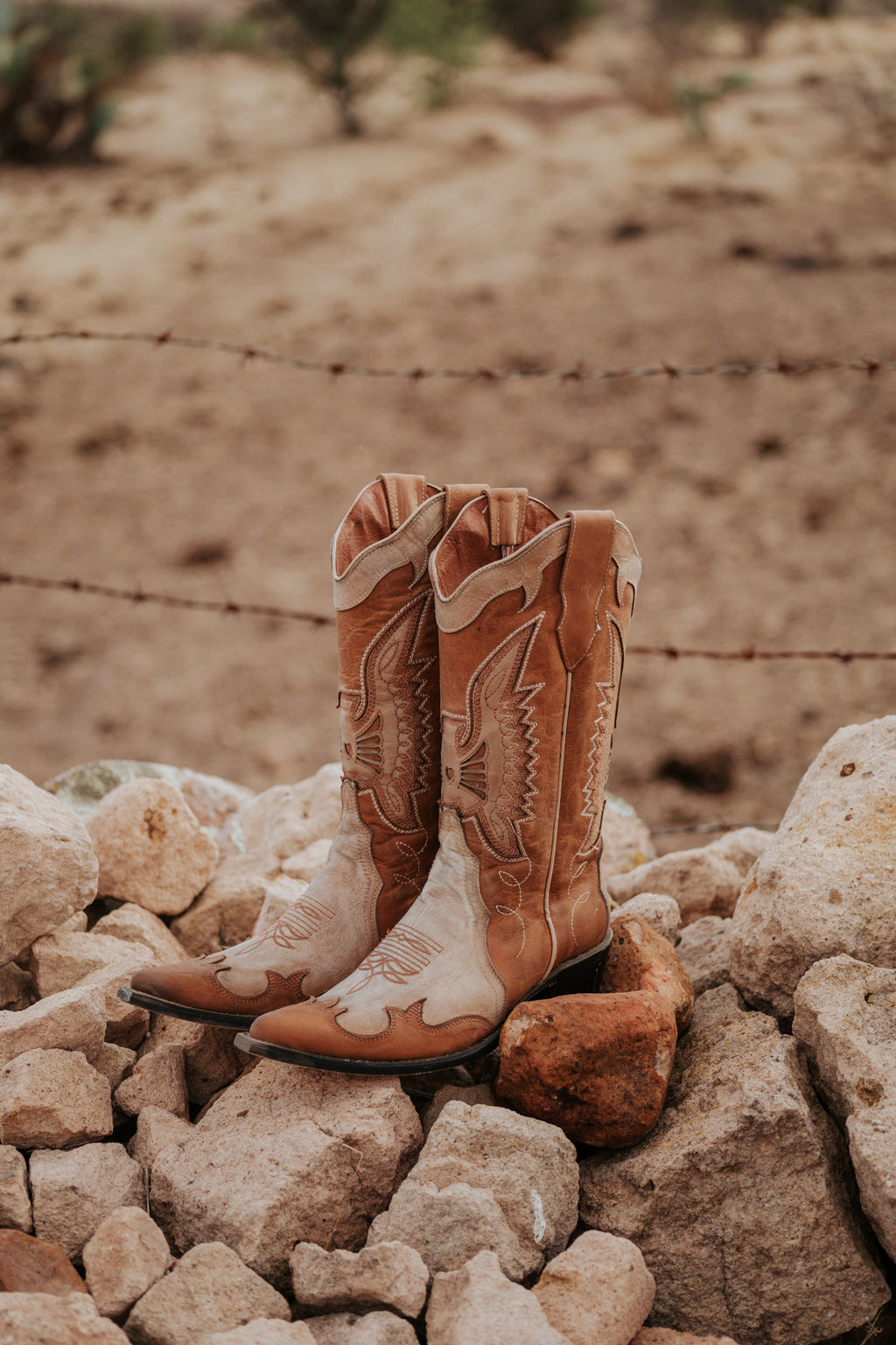 Botas Jornada Buckskin