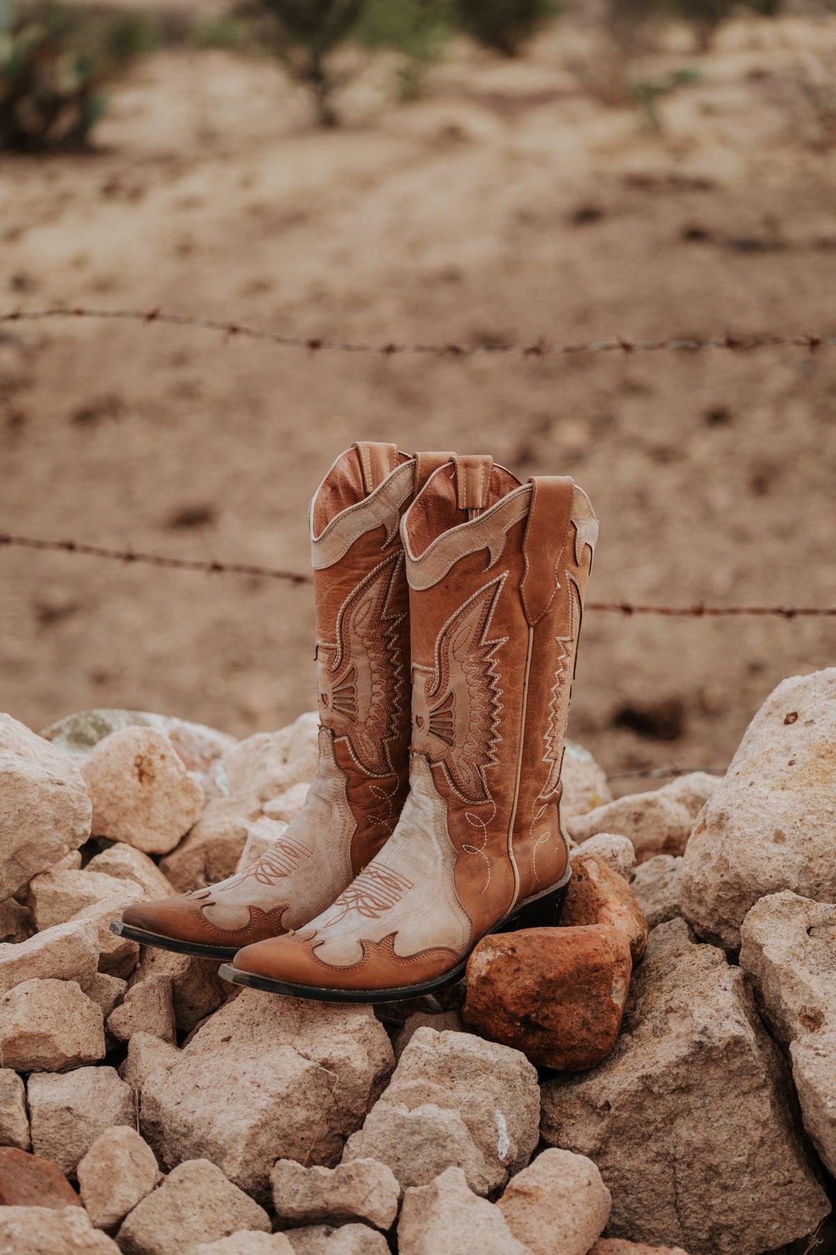 Botas Jornada Buckskin